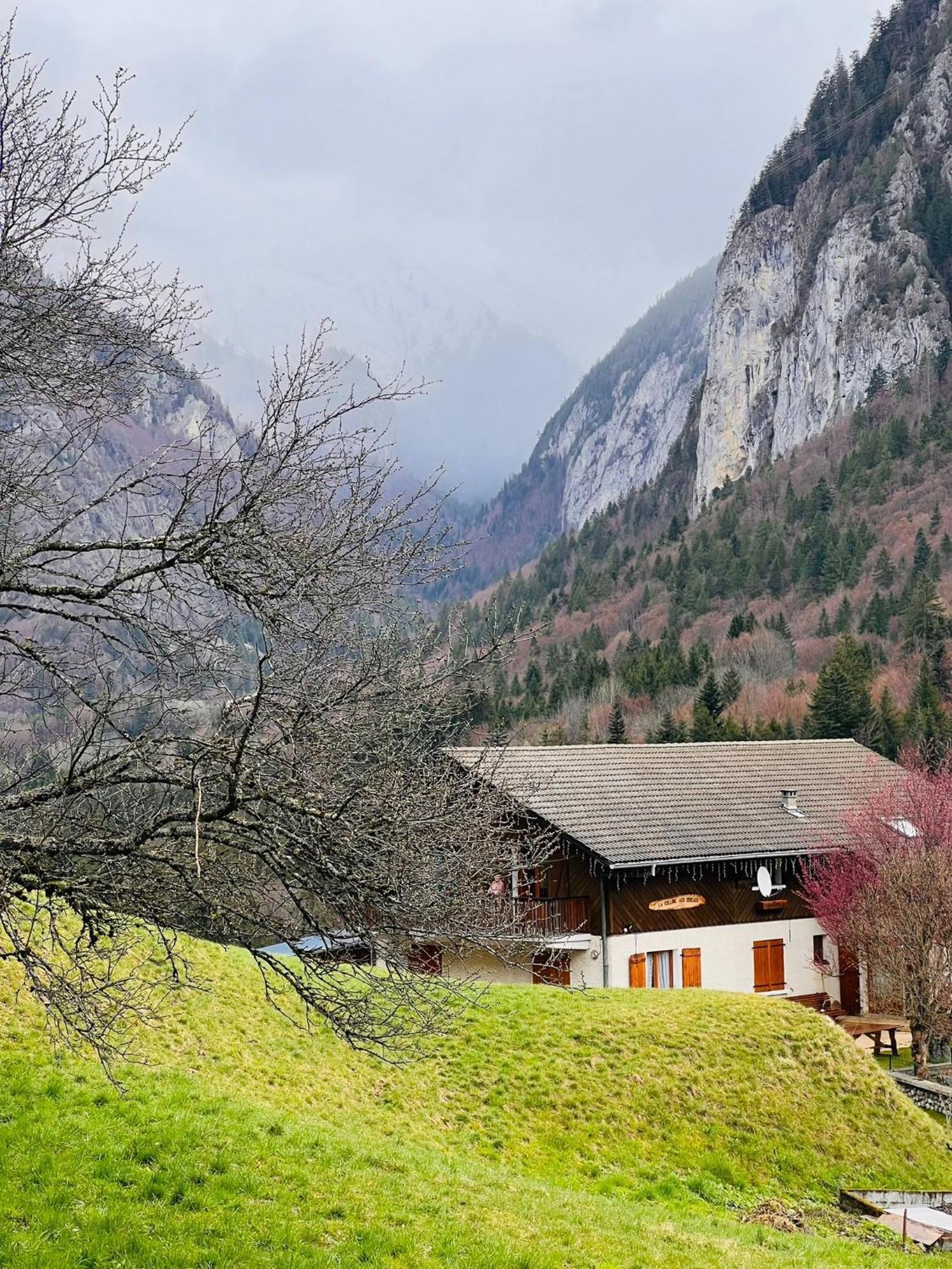 Chalet Du Bonheur Villa Bonnevaux  Exterior photo